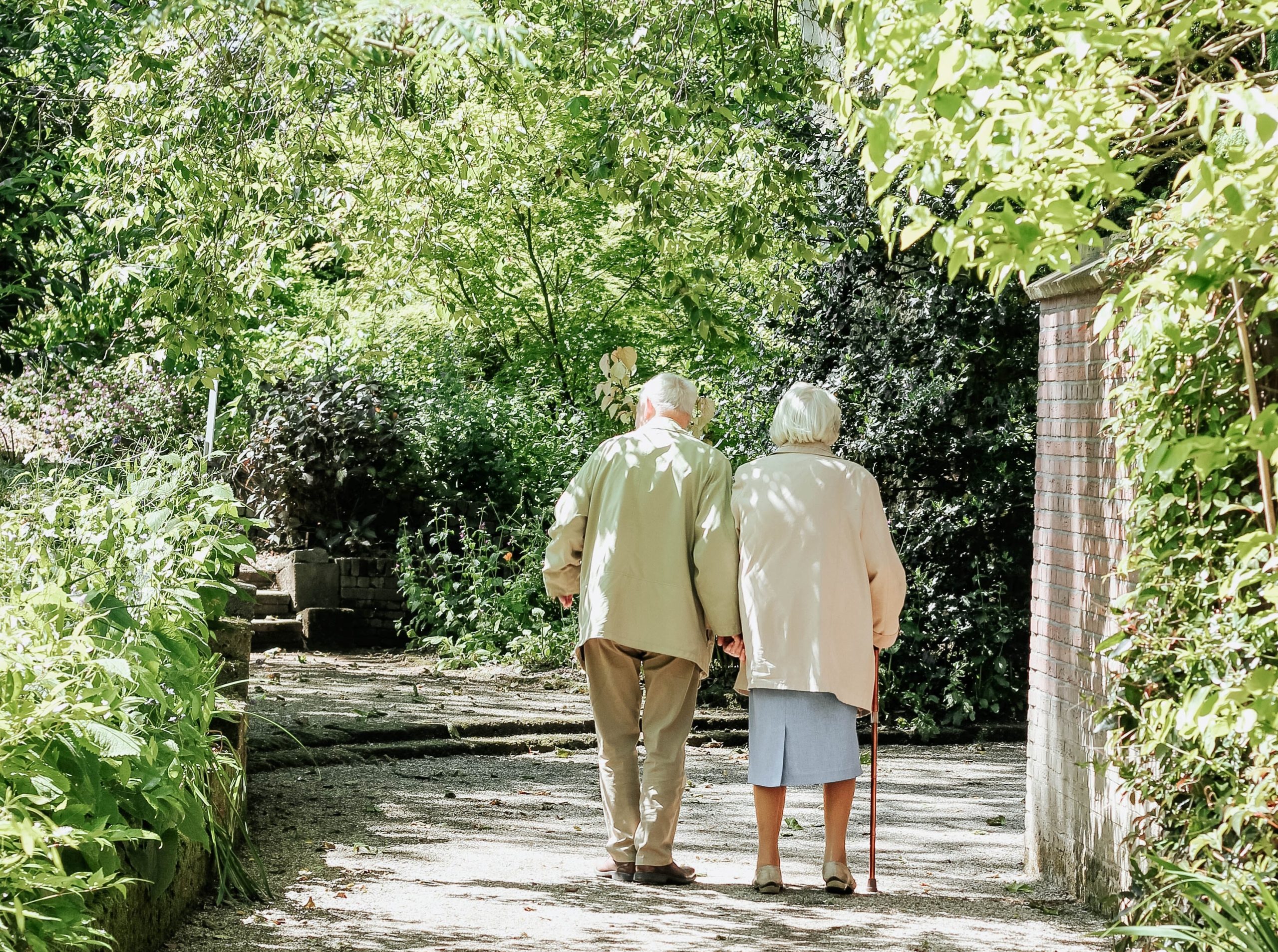 elderly couple walking among trees